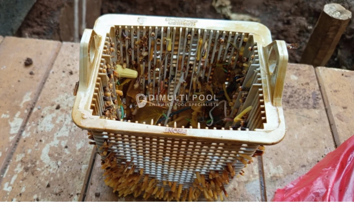 Kondisi basket skimmer box kolam renang kotor. Ini langkah membersihkannya.