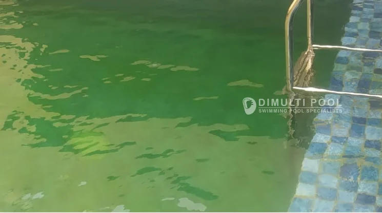 Contoh air kolam renang yang berlumut yang pernah ditangani Tim Dimulti Pool.