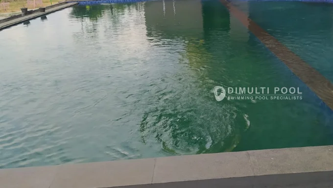 Kondisi air kolam renang berlumut yang ditangani Tim Dimulti Pool.