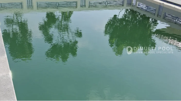 Kondisi air kolam renang yang berlumut.