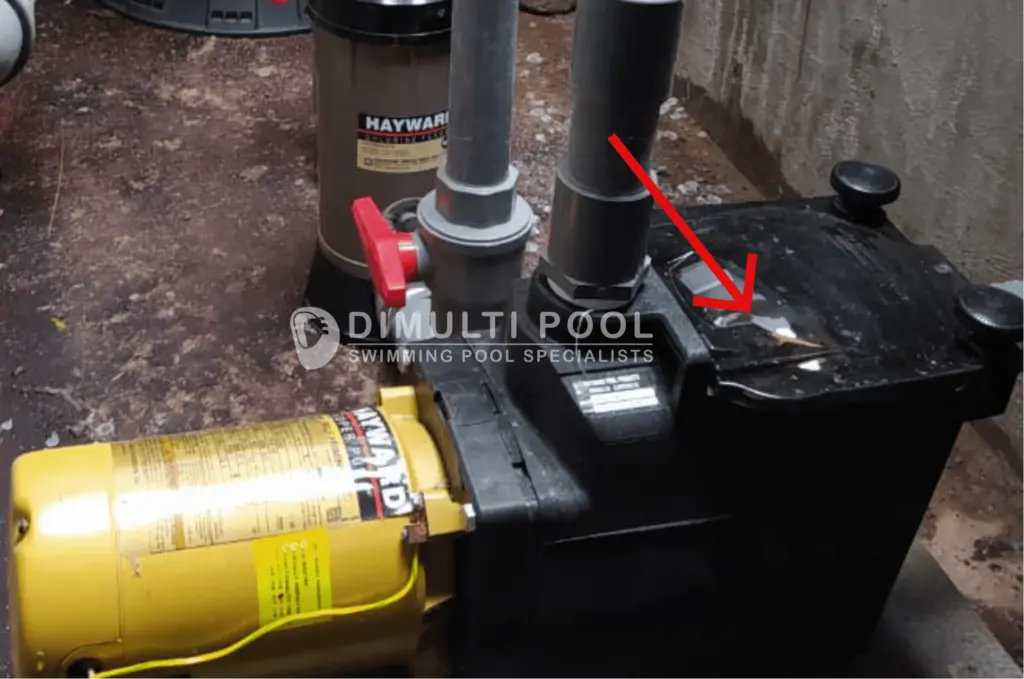 Strainer pompa kolam renang.
