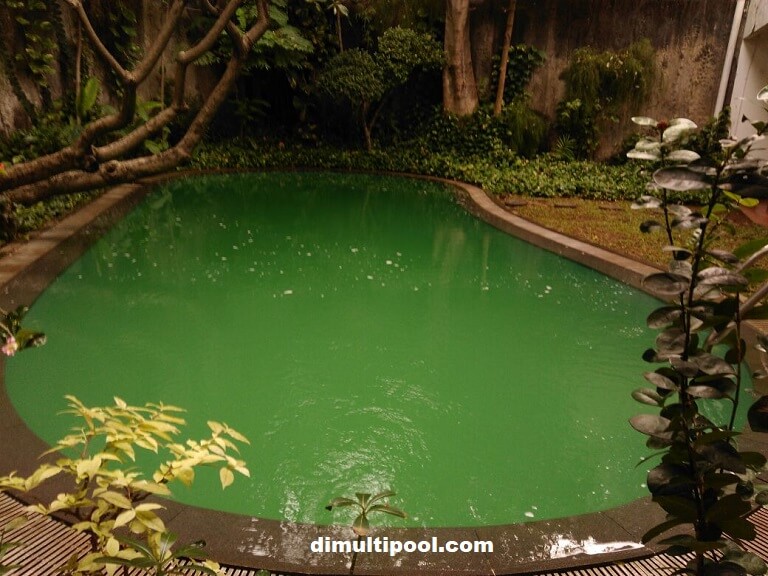 Example, Pool Green Water Problem